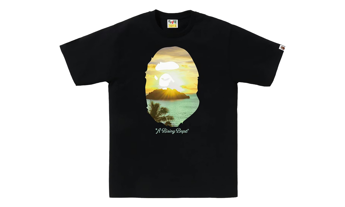 BAPE A Rising Bape Photo Tee Black 1K30 110 048 BLACK